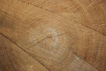 Similar image 802135