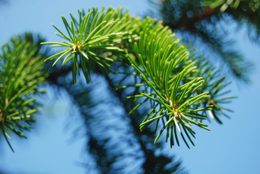 Similar image 802140