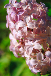 Similar image 802141