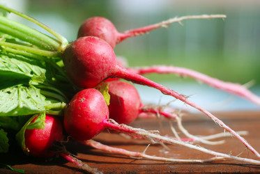 Similar image 802143