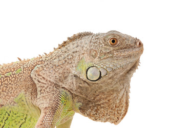 Similar image 802266