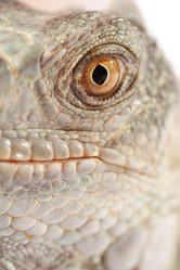 Similar image 802267