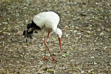 Similar image 802355