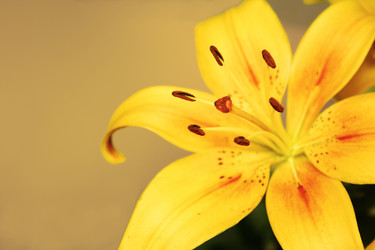 Similar image 802359