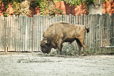 Similar image 802360