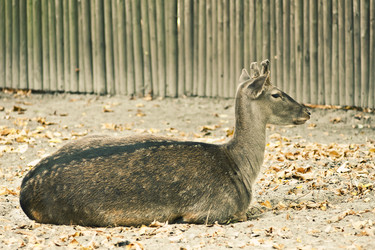 Similar image 802362