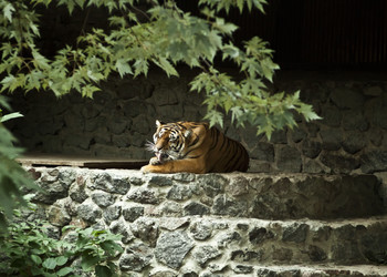 Similar image 802369