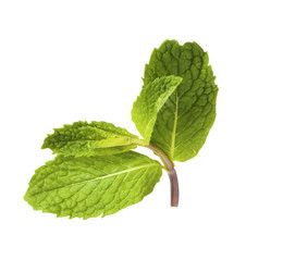 Similar image 802380