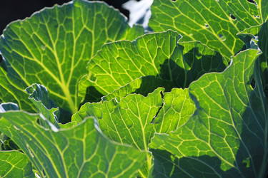 Similar image 802404