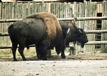 Similar image 802425