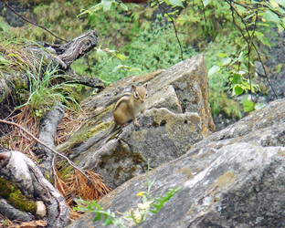 Similar image 802427