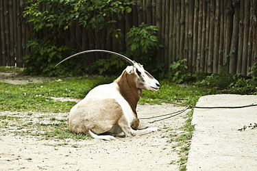 Similar image 802428