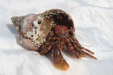 Similar image 802438