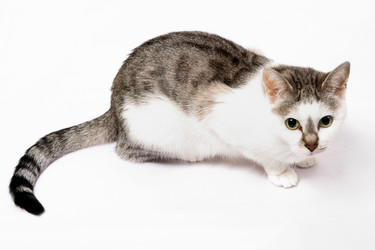 Similar image 802549