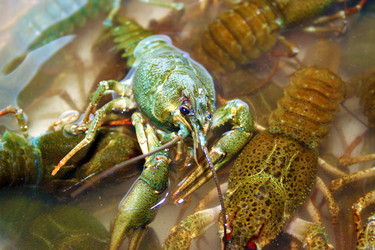 Similar image 802576