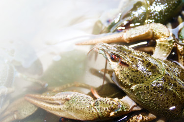 Similar image 802577