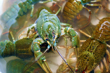 Similar image 802579