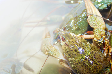 Similar image 802580