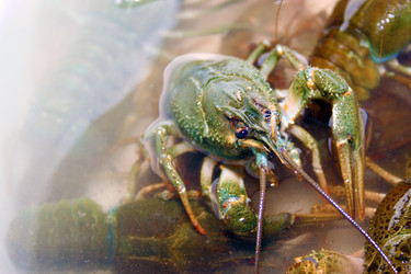 Similar image 802581