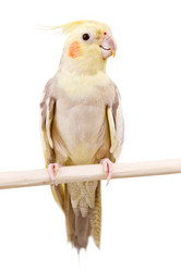 Similar image 802582