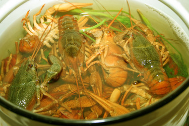 Similar image 802584