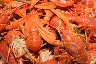 Similar image 802585