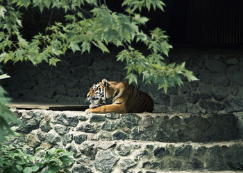 Similar image 802626