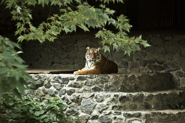 Similar image 802627