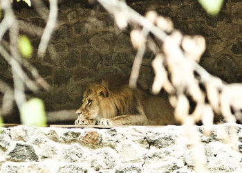 Similar image 802628