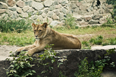 Similar image 802629