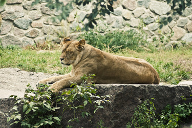 Similar image 802630