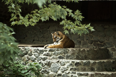 Similar image 802633