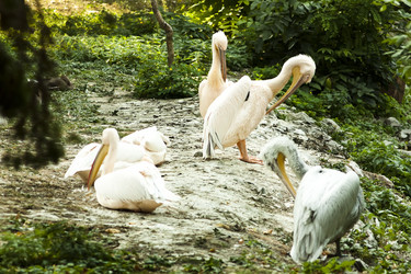 Similar image 802635