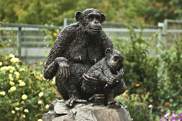 Similar image 802639