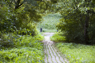 Similar image 802773