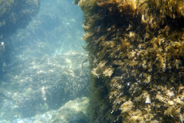 Similar image 802775