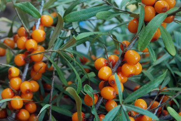 Similar image 802798