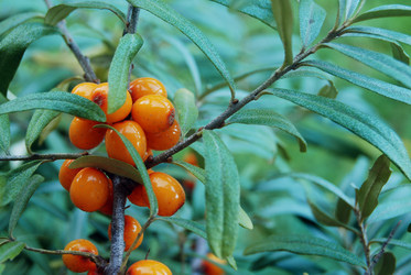 Similar image 802799