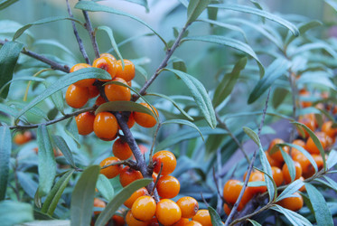 Similar image 802801