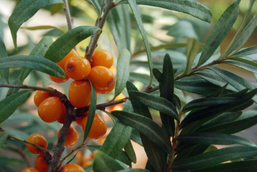 Similar image 802802