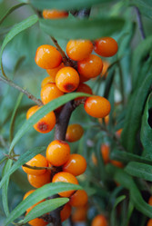 Similar image 802803