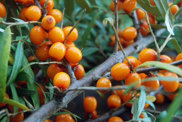 Similar image 802804