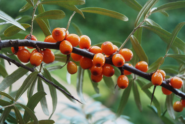 Similar image 802805