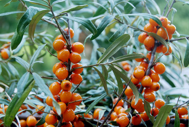 Similar image 802806