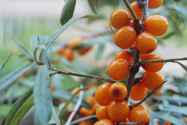 Similar image 802808