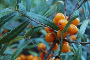 Similar image 802810