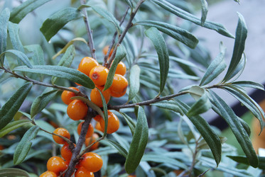 Similar image 802811