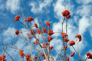 Similar image 802814