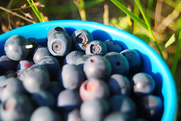 Similar image 802825