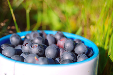 Similar image 802826